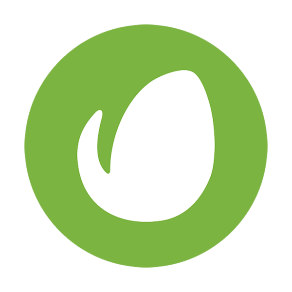 Envato Elements subscription
