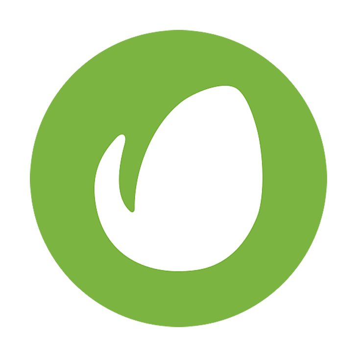 Envato Elements subscription