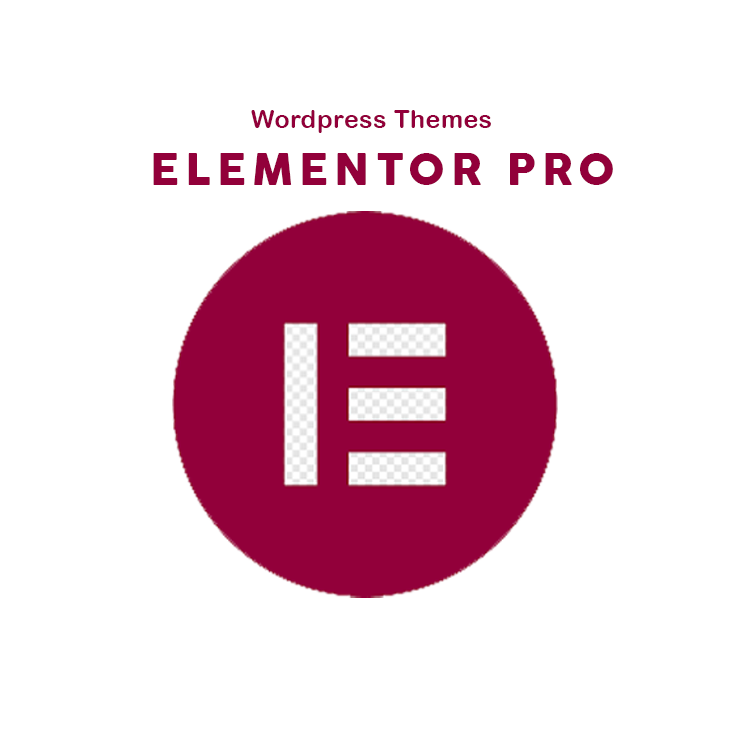 Elementor-pro